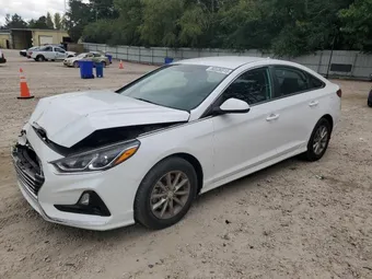 2019 Hyundai Sonata 5NPE24AF8KH747328 Lot 80536515