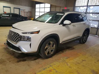 2023 Hyundai Santa Fe 5NMS3DAJ5PH649642 Lot 48262746