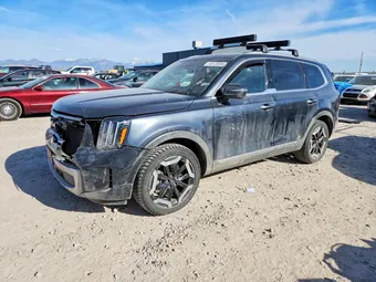 2023 Kia Telluride 5XYP6DGC3PG407352
