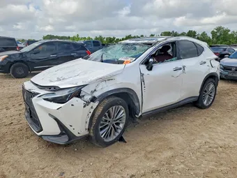 2023 Lexus NX 350H 2T2GKCEZ6PC010206