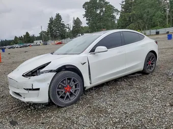 2020 Tesla Model 3 5YJ3E1EA7LF660452 Lot 54341266