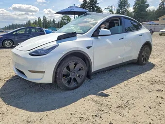 2023 Tesla Model Y 7SAYGDEE5PF587028 Lot 54088236