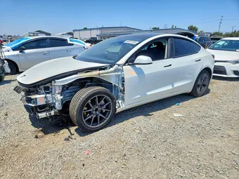 2023 Tesla Model 3 5YJ3E1EA5PF449109 Lot 54651456