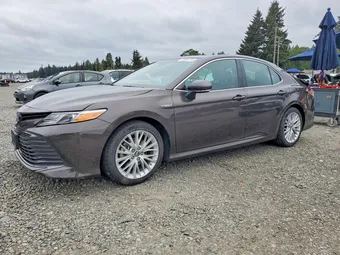 2018 Toyota Camry 4T1B21HK0JU503323 Lot 53829776