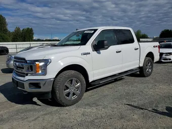 2020 Ford F-150 1FTEW1E48LFA25560 Lot 53443806