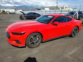 2025 Ford Mustang 1FA6P8TH8S5130609 Lot 49754346