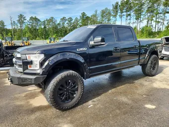 2016 Ford F-150 1FTEW1CG1GFA96957 Lot 48972466