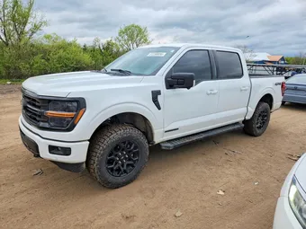 2025 Ford F-150 1FTFW3LD5SFB66054 Lot 51290856
