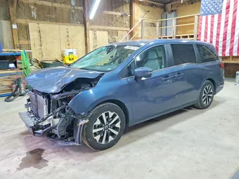 2025 Honda Odyssey 5FNRL6H66SB061240 Lot 55189626