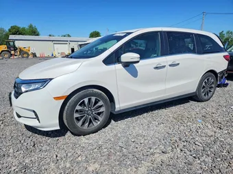 2023 Honda Odyssey 5FNRL6H63PB077130 Lot 52314136