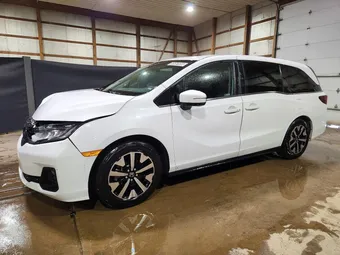 2025 Honda Odyssey 5FNRL6H64SB057171 Lot 55063956