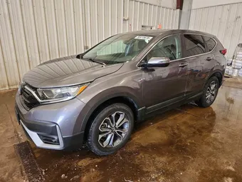 2020 Honda CR-V 5J6RW2H89LL045396 Lot 50415676