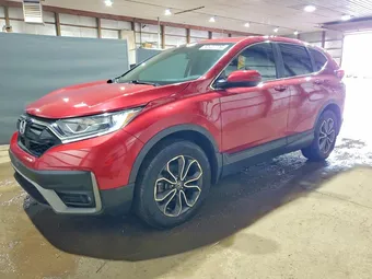 2020 Honda CR-V 5J6RW2H57LL028781 Lot 50922776