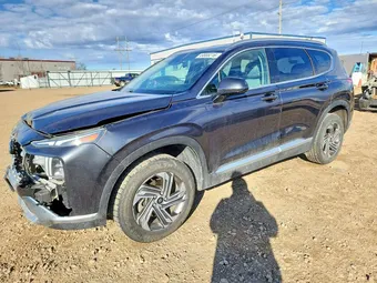 2021 Hyundai Santa Fe 5NMS2DAJ9MH313507 Lot 49806216