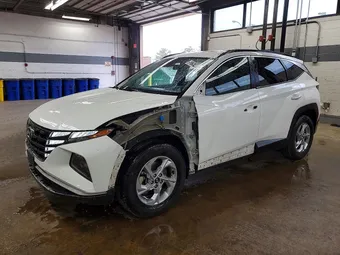 2023 Hyundai Tucson 5NMJB3AE2PH223189 Lot 53797486