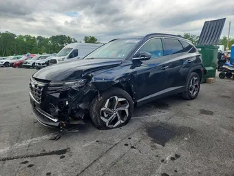 2024 Hyundai Tucson 5NMJECDE8RH329569 Lot 53987266
