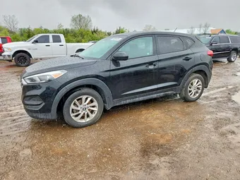 2018 Hyundai Tucson KM8J2CA48JU729029 Lot 50990356