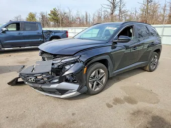 2025 Hyundai Tucson 5NMJBCDE6SH455380 Lot 50218486