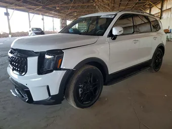 2025 Kia Telluride 5XYP5DGC7SG713448