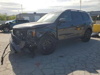 2025 Kia Telluride 5XYP5DGC1SG618495