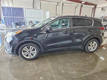 2017 Kia Sportage KNDPM3AC2H7135609 Lot 49078866