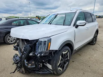 2025 Kia Telluride 5XYP6DGC7SG591915