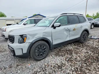 2024 Kia Telluride 5XYP5DGC2RG489306
