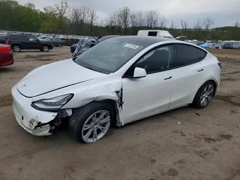 2023 Tesla Model Y 7SAYGDEEXPA149019 Lot 51242696