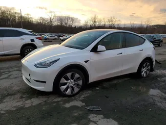 2023 Tesla Model Y 7SAYGDEE5PA110998 Lot 46028896