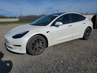 2021 Tesla Model 3 5YJ3E1EA2MF920385 Lot 48543956