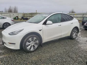 2021 Tesla Model Y 5YJYGAEE5MF196386 Lot 79590745