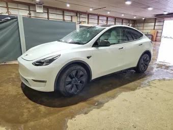 2025 Tesla Model Y 7SAYGDEE9SF223011 Lot 52067986