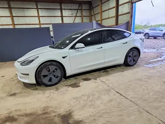 2022 Tesla Model 3 5YJ3E1EB5NF117595 Lot 51139276