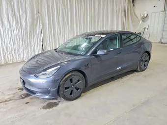 2021 Tesla Model 3 5YJ3E1EB4MF858013 Lot 53188716