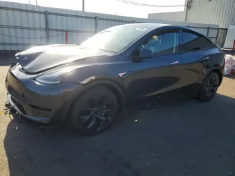2025 Tesla Model Y 7SAYGDED8SF241748 Lot 50176606