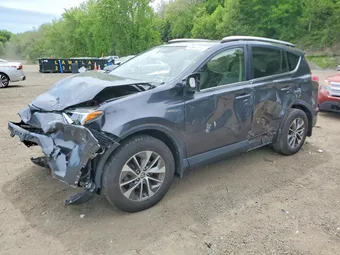 2016 Toyota RAV4 JTMRJREV4GD021482 Lot 54681616