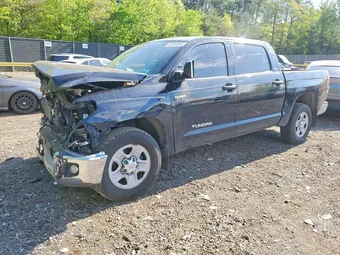 2020 Toyota Tundra 5TFEY5F11LX261287 Lot 50556806
