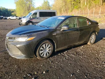 2019 Toyota Camry 4T1B31HKXKU006682 Lot 50736536