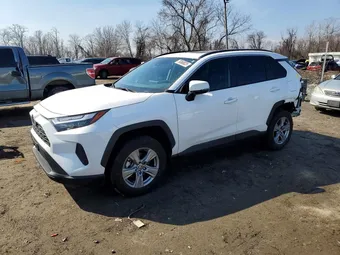 2024 Toyota RAV4 2T3P1RFV6RC484995 Lot 79368825