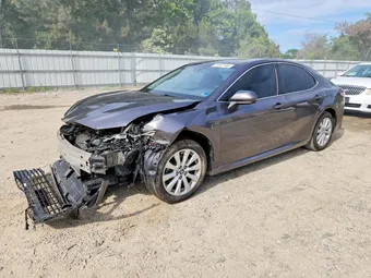 2019 Toyota Camry 4T1B11HKXKU791260 Lot 51647146