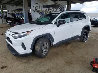 2024 Toyota RAV4 2T3RWRFV8RW221965 Lot 50755106