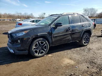 2019 Toyota RAV4 2T3J1RFV0KW006288 Lot 79267665