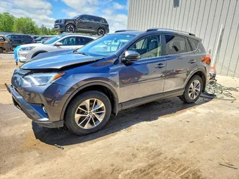 2017 Toyota RAV4 JTMRJREV4HD088147 Lot 53538576
