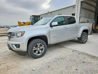 2019 Chevrolet Colorado 1GCPTDE12K1232000 Lot 49794876