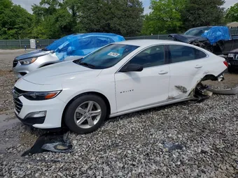 2021 Chevrolet Malibu 1G1ZB5ST8MF002855 Lot 52764256