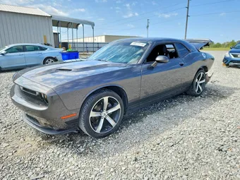 2019 Dodge Challenger 2C3CDZAG2KH620403 Lot 48228116