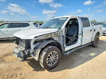 2019 Ford F-150 1FTEW1EP1KFC24958 Lot 49409346