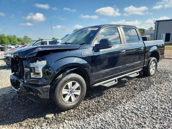 2015 Ford F-150 1FTEW1E81FKE95508 Lot 51080646