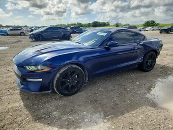 2019 Ford Mustang 1FA6P8TH5K5167083 Lot 53984406