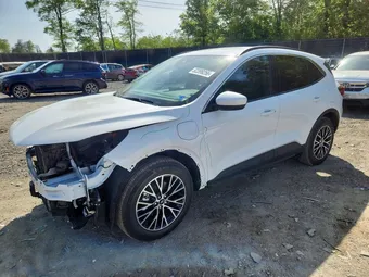 2023 Ford Escape 1FMCU0E14PUA25176 Lot 52399256